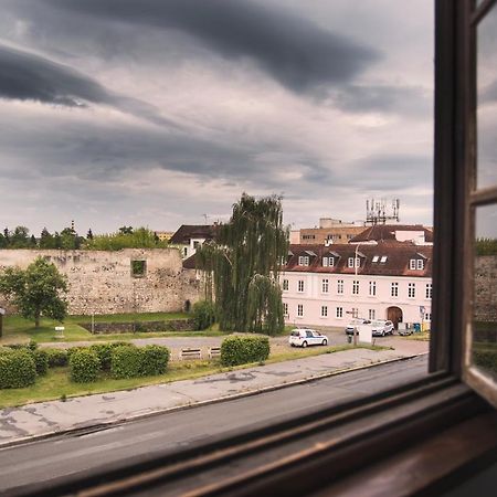 Guesthouse Zlaty Hrozen Česká Lípa Exterior foto