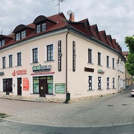 Guesthouse Zlaty Hrozen Česká Lípa Exterior foto